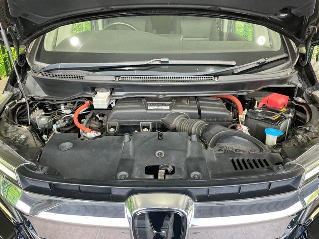 24051629_carP_l_18.jpg