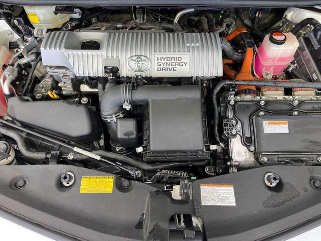 22875570_carP_l_18.jpg