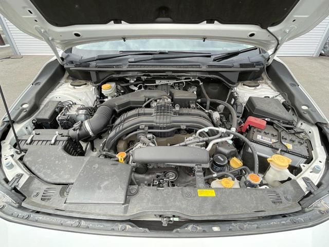 24808530_carP_l_12.jpg