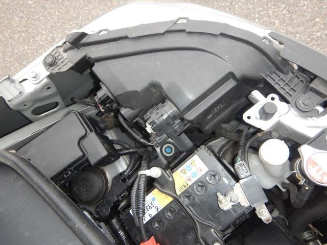 23319539_carP_l_6.jpg