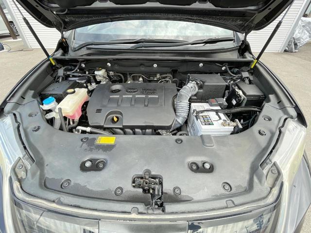 24808531_carP_l_16.jpg