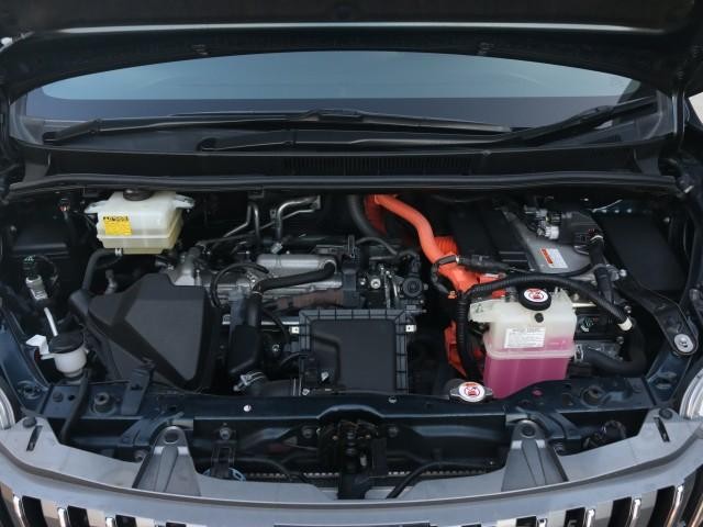 26257410_carP_l_17.jpg