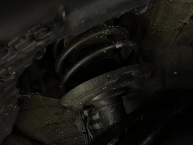 24807947_carP_l_20.jpg