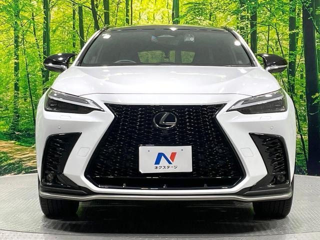 26989360_carP_l_11.jpg