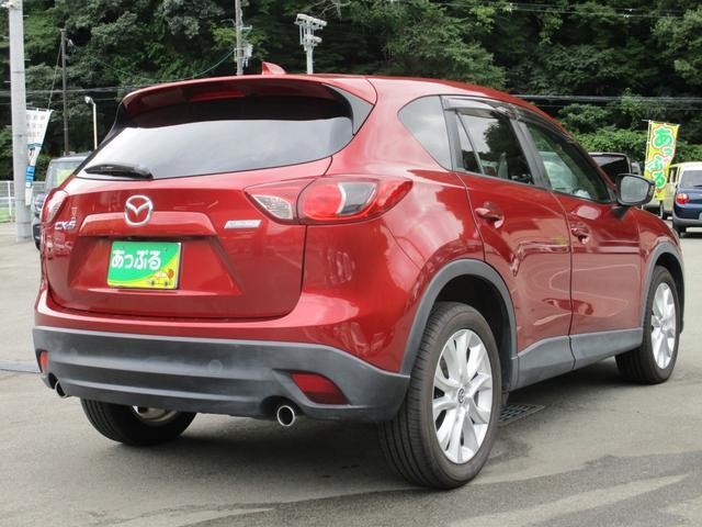 26287847_carP_l_11.jpg