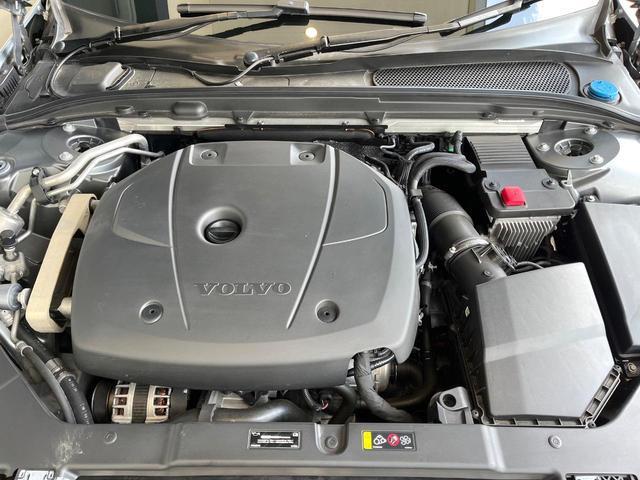 23595251_carP_l_20.jpg