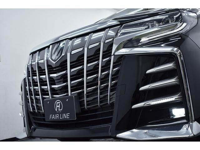 25825040_carP_l_19.jpg