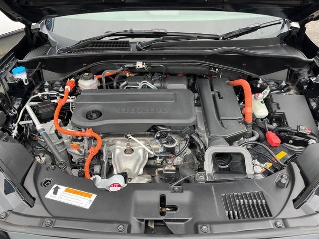 26126284_carP_l_16.jpg