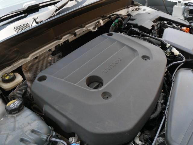 23965725_carP_l_7.jpg
