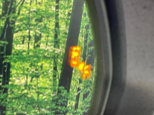 24239948_carP_l_14.jpg
