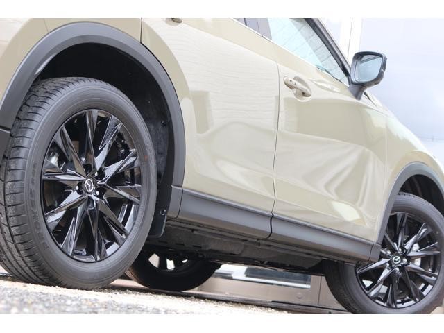 23695819_carP_l_6.jpg