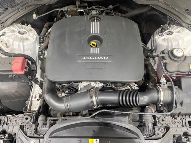 23457968_carP_l_7.jpg