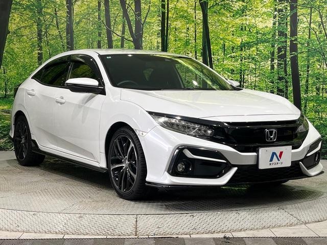 26402451_carP_l_12.jpg