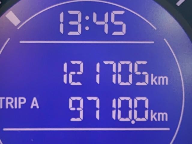27232730_carP_l_2.jpg