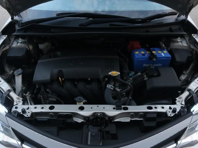 24938532_carP_l_17.jpg