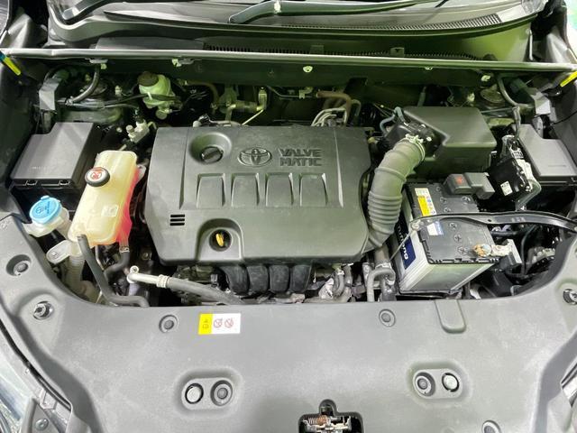 23359101_carP_l_16.jpg