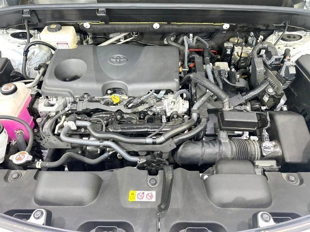 27011943_carP_l_16.jpg