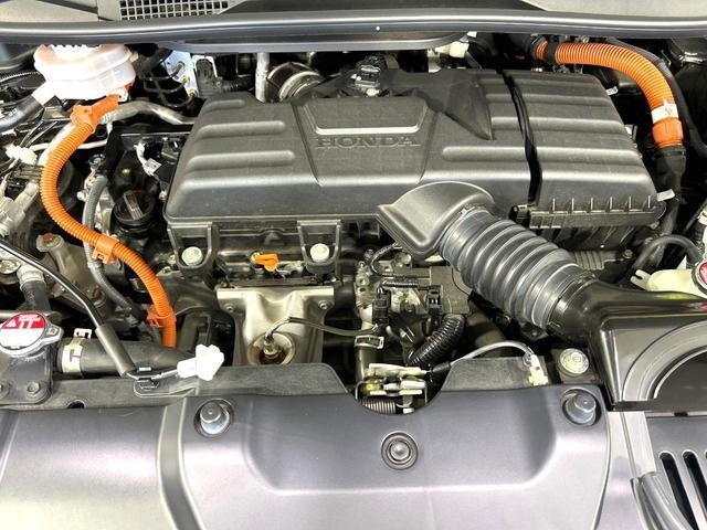 27011947_carP_l_18.jpg