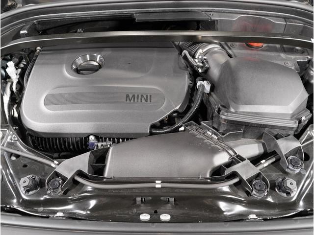 25668724_carP_l_14.jpg