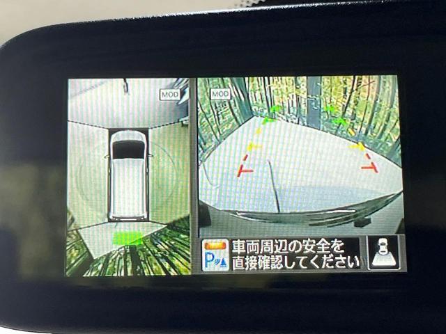 24219498_carP_l_13.jpg