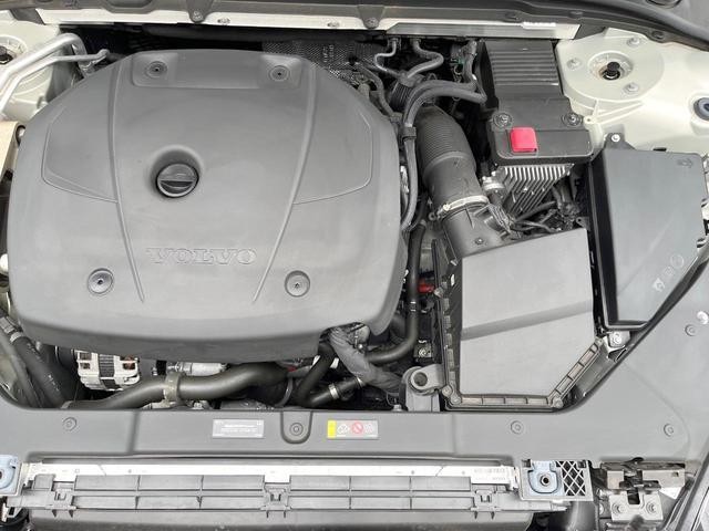 26402653_carP_l_16.jpg