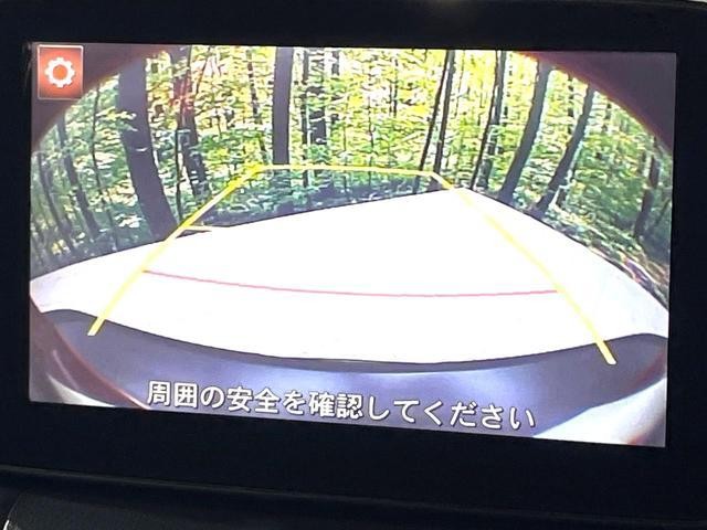 26210005_carP_l_10.jpg