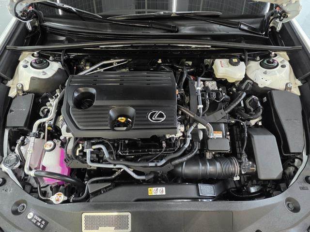 df9dc8509f90072ed17d5786a8ace44e.jpeg