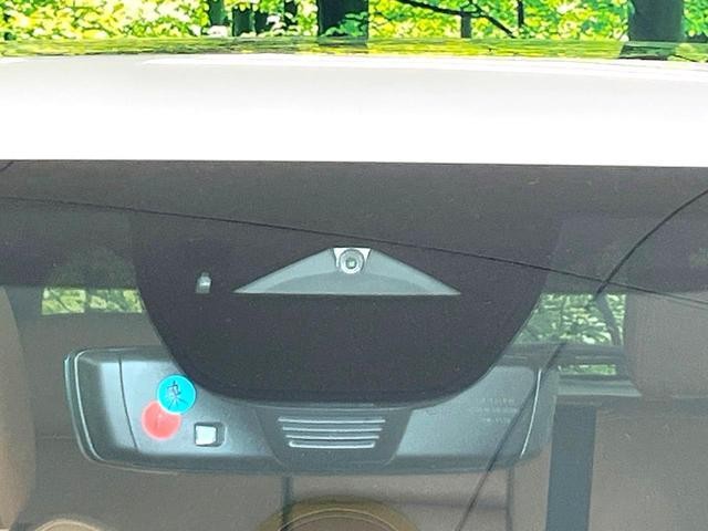 25015079_carP_l_4.jpg