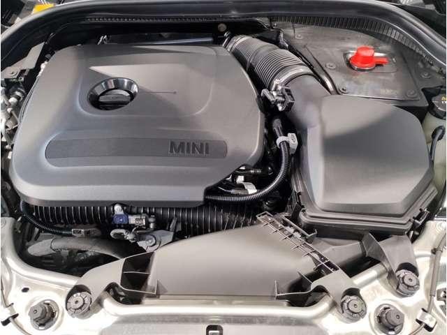 24983508_carP_l_2.jpg