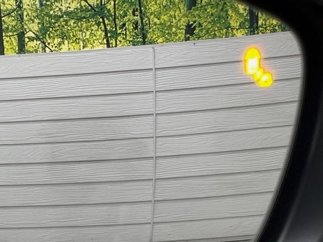 26901709_carP_l_14.jpg