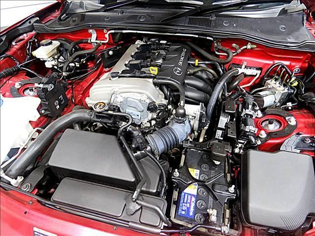 25319348_carP_l_20.jpg
