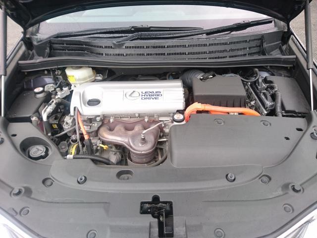 26839055_carP_l_17.jpg