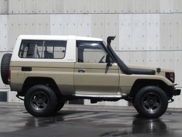 23516835_carP_l_3.jpg