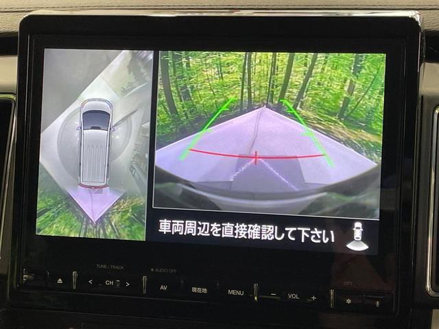 23536468_carP_l_14.jpg