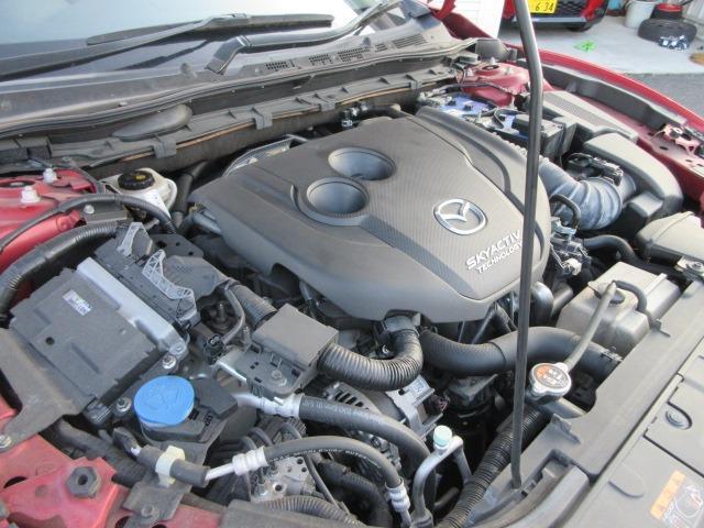 23610106_carP_l_5.jpg