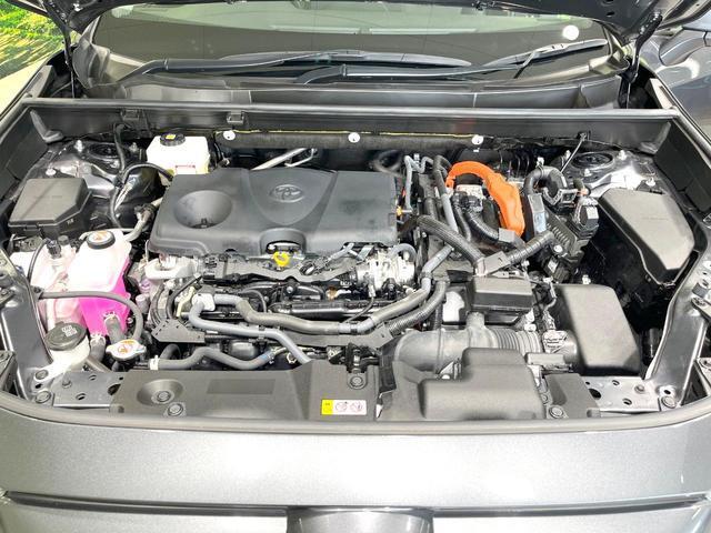 23377092_carP_l_16.jpg