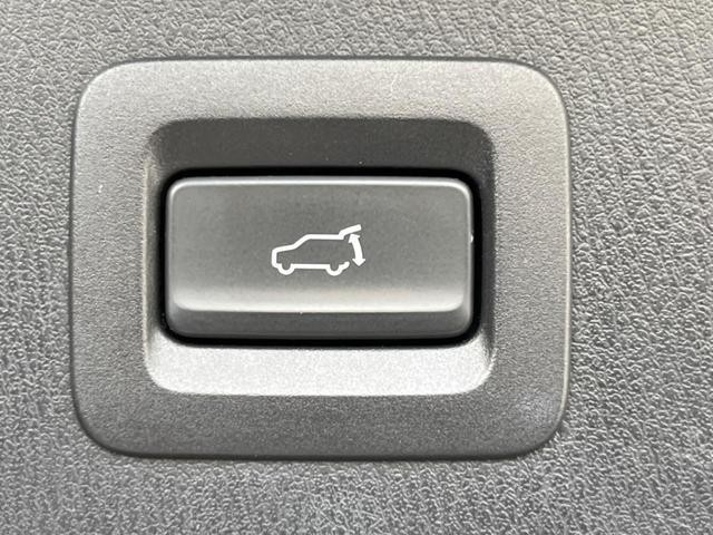 25829684_carP_l_13.jpg