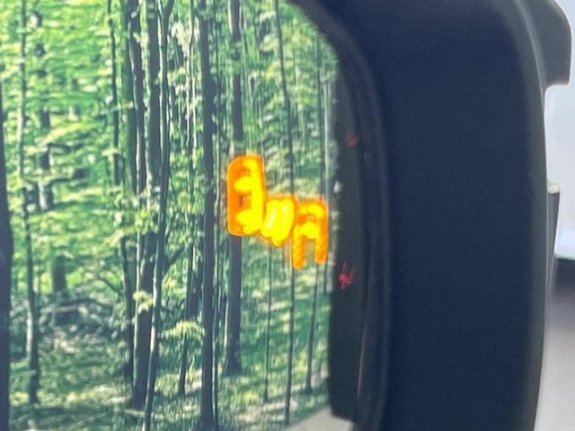 26577873_carP_l_14.jpg