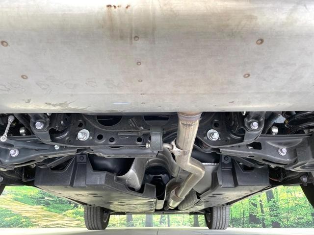 25384721_carP_l_18.jpg