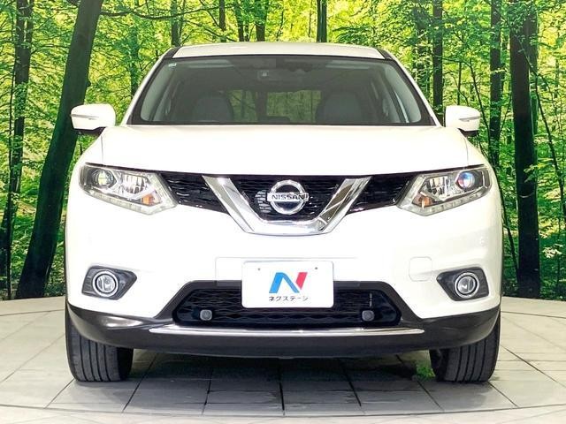 25612201_carP_l_8.jpg