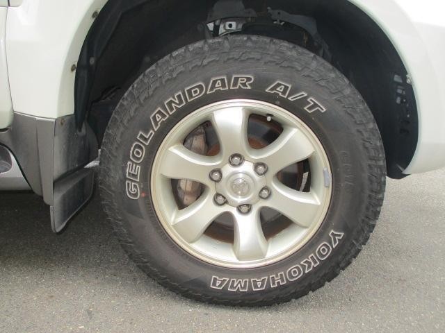 25885370_carP_l_19.jpg