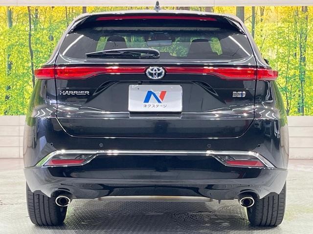 25611833_carP_l_9.jpg