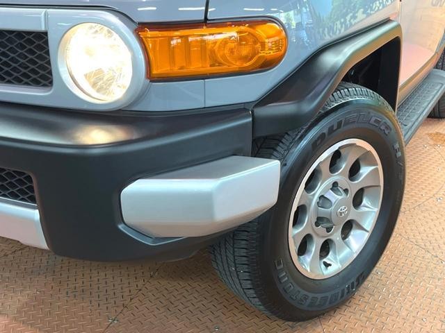 25323493_carP_l_6.jpg