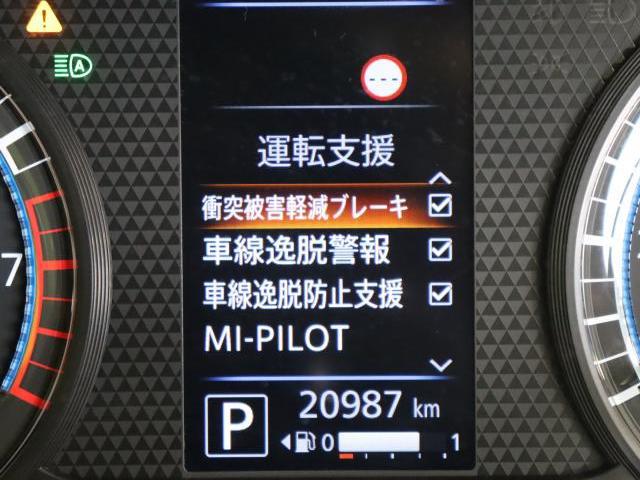 24947436_carP_l_4.jpg