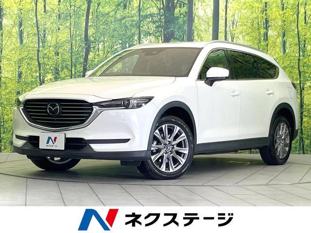 25611929_carP_l_1.jpg