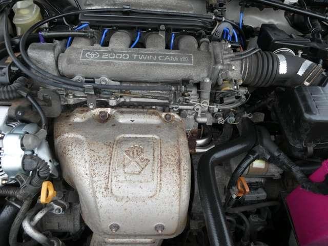 26143498_carP_l_7.jpg
