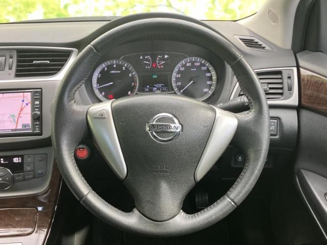 24926813_carP_l_9.jpg