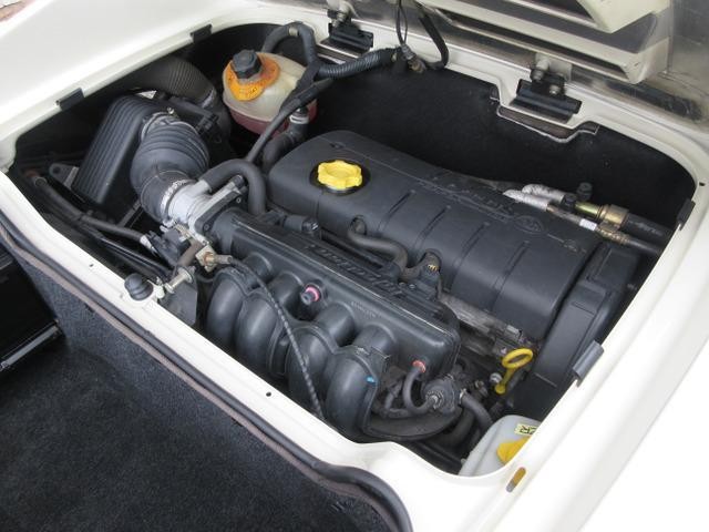 26231259_carP_l_19.jpg