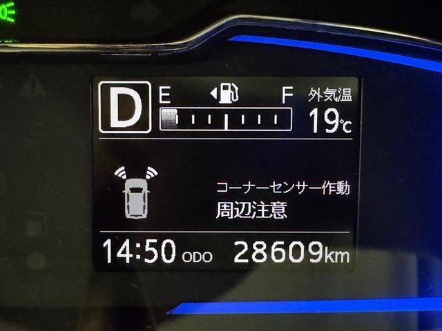 23609967_carP_l_7.jpg