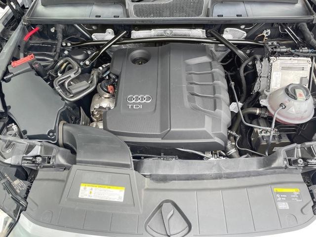 25811391_carP_l_18.jpg